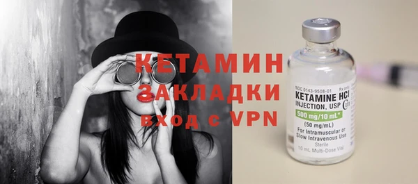 индика Гусь-Хрустальный
