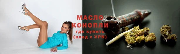 сатива Армянск