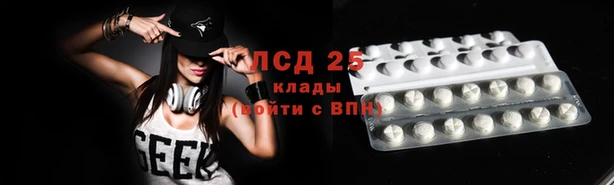 сатива Армянск