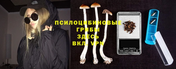 сатива Армянск